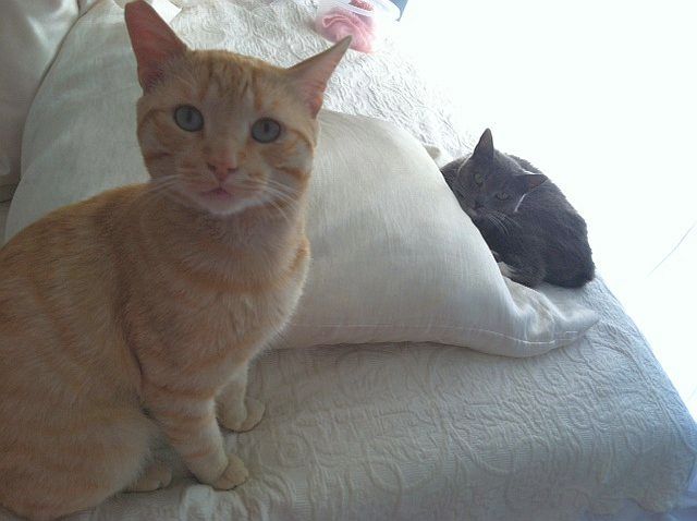 both-on-bed.jpg