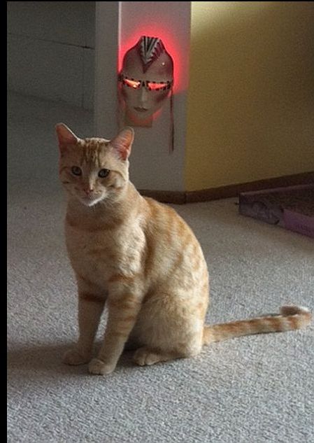 nacho-mask.jpg