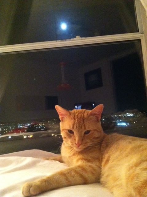 91913fullmoonnacho.jpg
