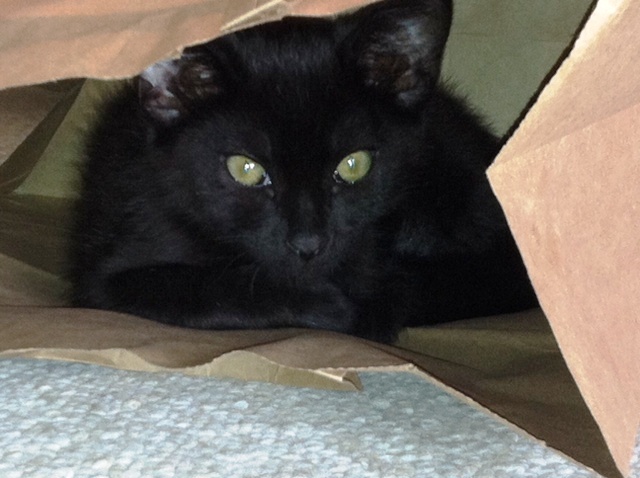 71912coalbag.JPG
