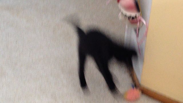 111blur.jpg