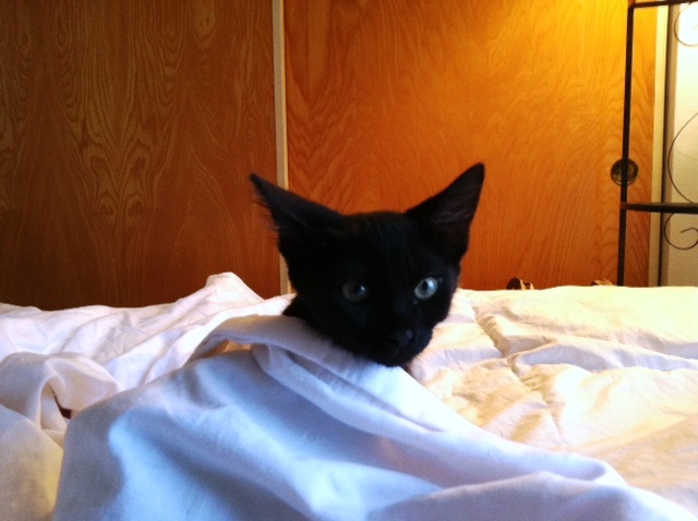 71912coalblanket.JPG